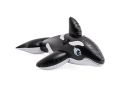 Opblaasbare walvis groot model
