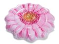 Pink Daisy waterluchtbed