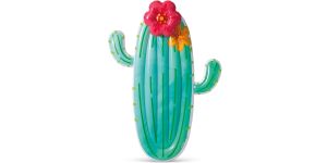 Intex Cactus luchtbed