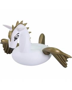 Comfortpool pegasus